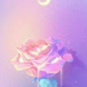 Meet your Posher, Allie